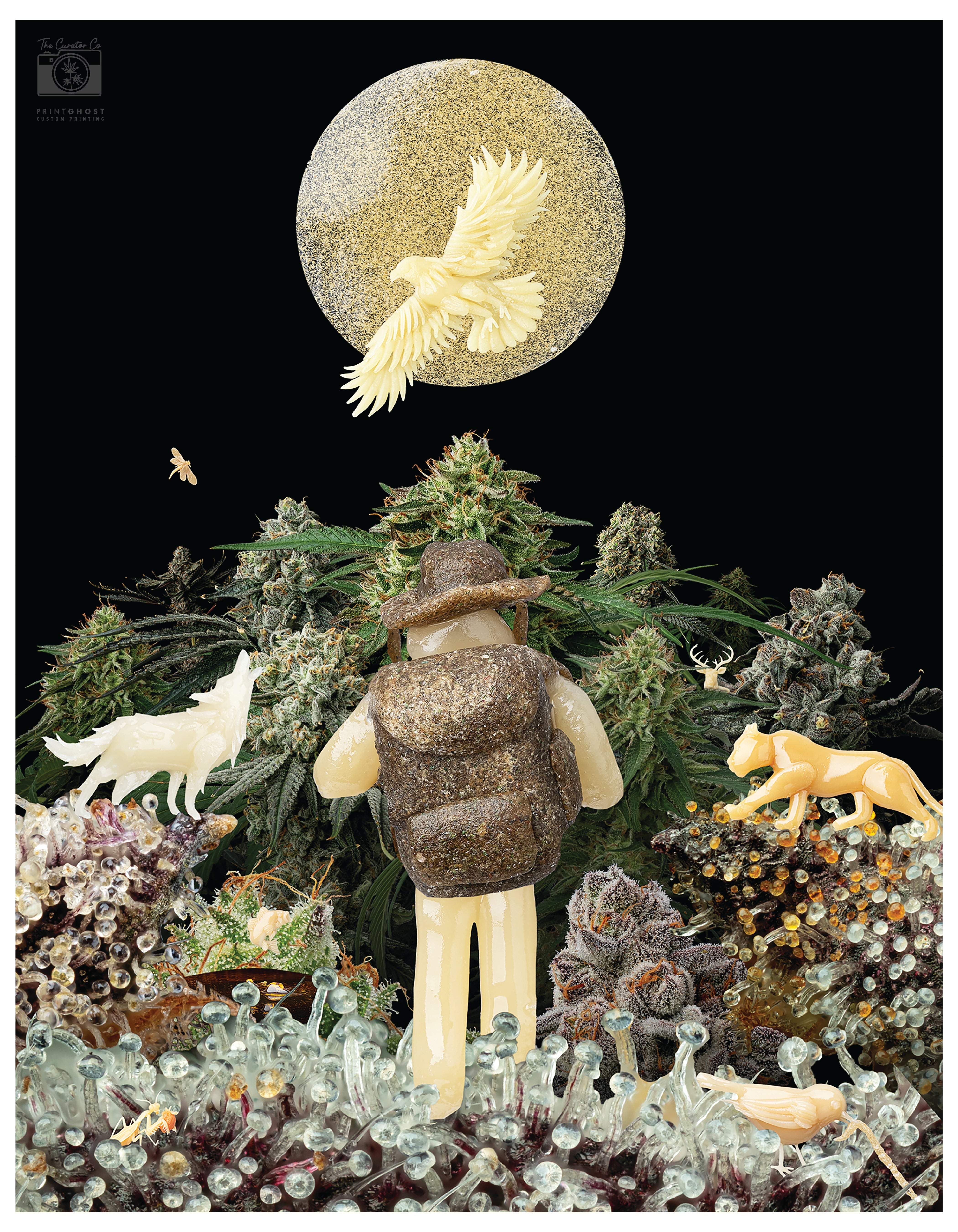 Limited Edition Prints